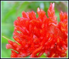 You are the rainbow of my life,my Dearest;-) You are the rainbow of my life,my Dearest;-)