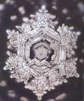 slide8