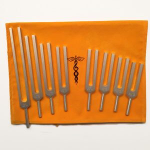 Harmonic Series Tuning Forks