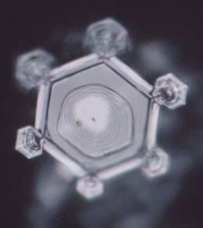 Masuru Emoto Image created by Jonathan Goldman's "Holy Harmony"