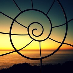 La vida es una espiral / Life is a spiral